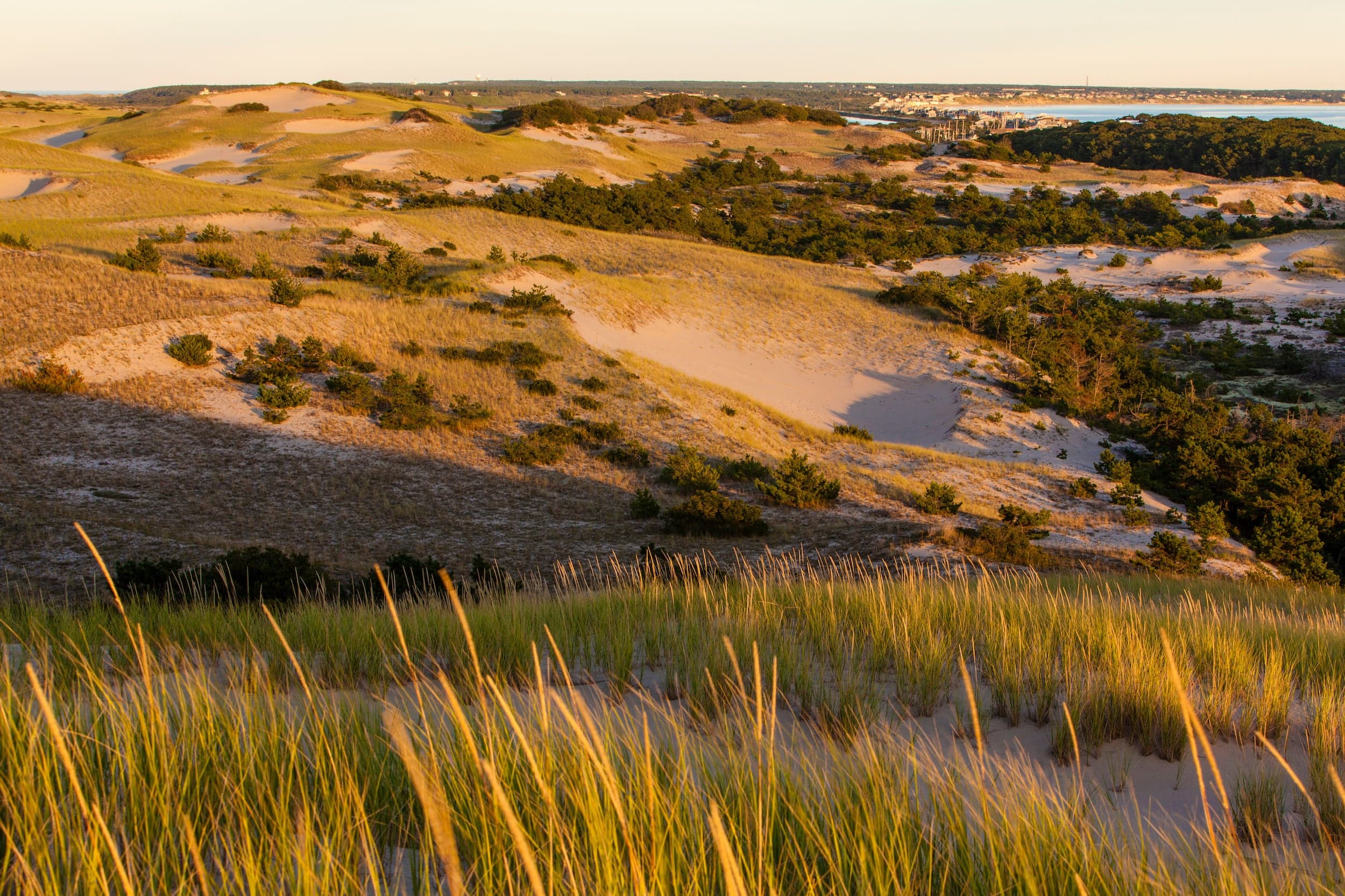 The dunes near Chatham Inn