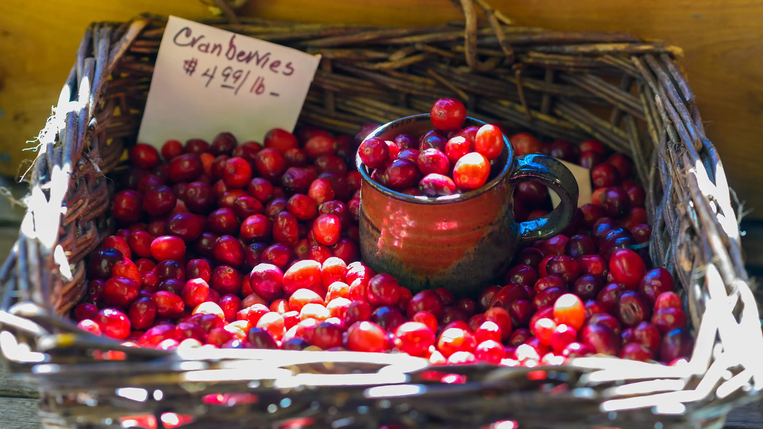 Fresh Cape Cod cranberries at a Chatham farm stand